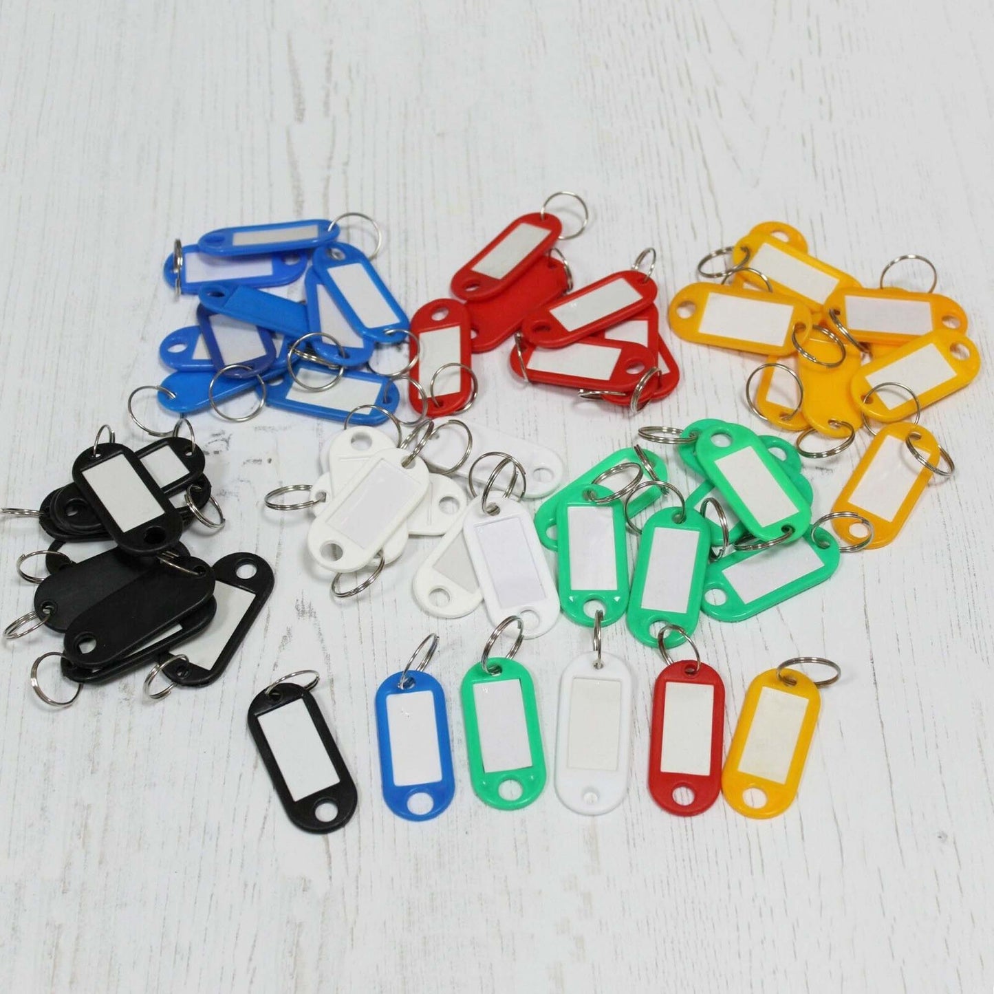 Plastic Key Fobs