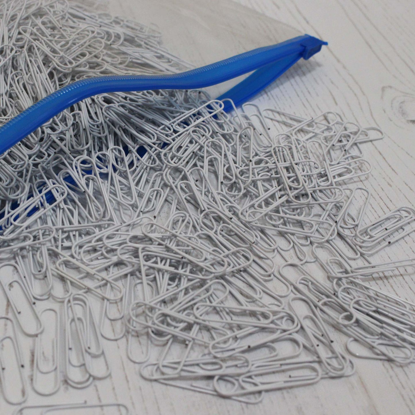 31mm Coloured Paper Clips Bulk Packs